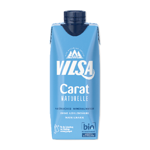Vilsa